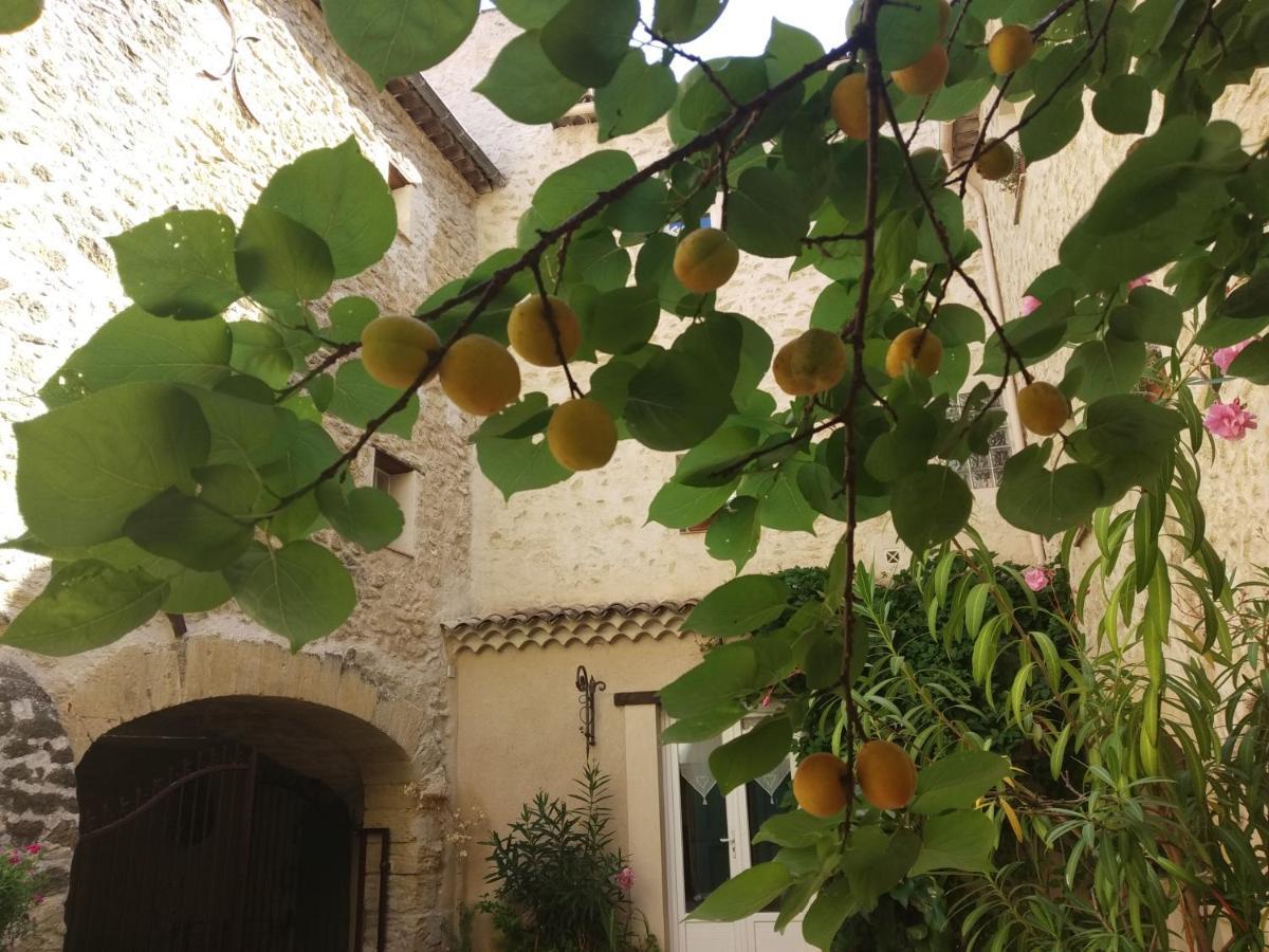 Le Terebinthe B&B Lauris Luaran gambar